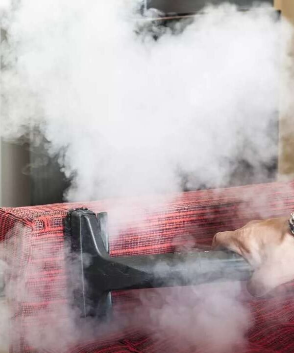 Say goodbye to harsh chemicals on furniture and hello to eco-friendly cleaning with our innovative commercial steam cleaners!