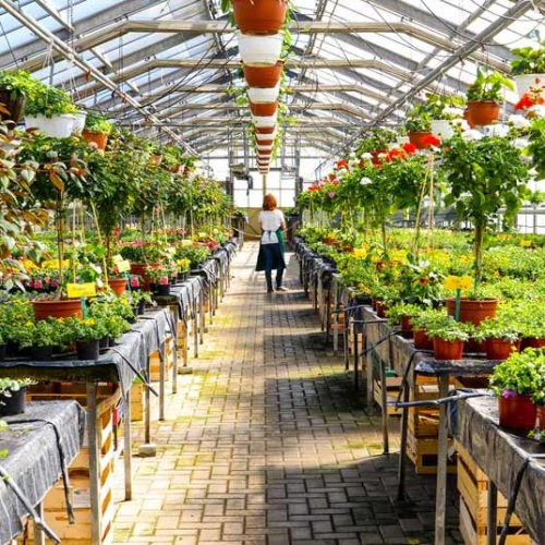 Commercial steam cleaner cleaning a garden centre. Buy the best steam cleaning machine to remove the dirt and dust and provide happy customers