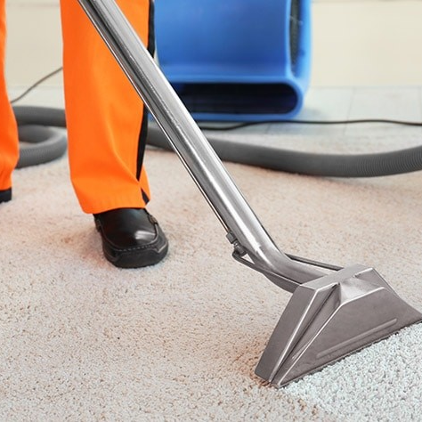 Renovating facilities by cleaning carpets with industrial steam cleaner. Buy the best commercial steam cleaning machine to remove the dirt and dust and provide happy customers and owners, Steam Cleaner