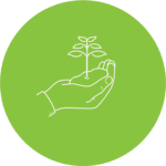 eco-firendly hand earth icon