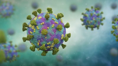 Virus