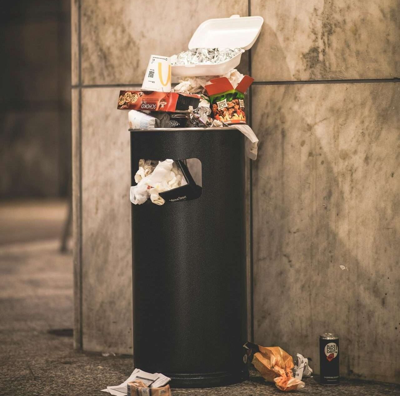 How Steam Cleaning Boosts Pest Prevention Efforts 13 bin, rubbish