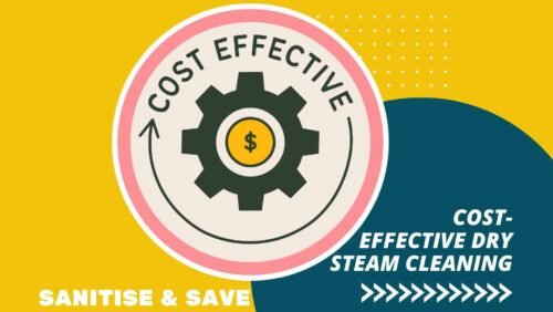 cost-effective dry steam cleaning