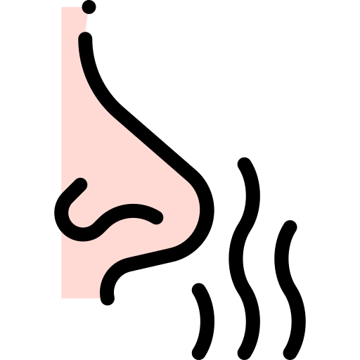 smell, nose