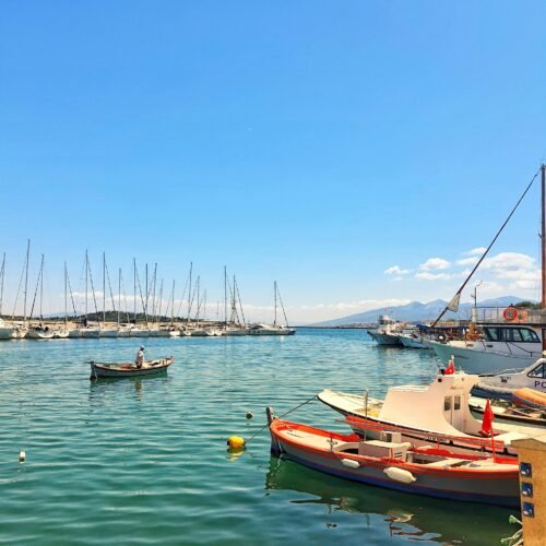 boats