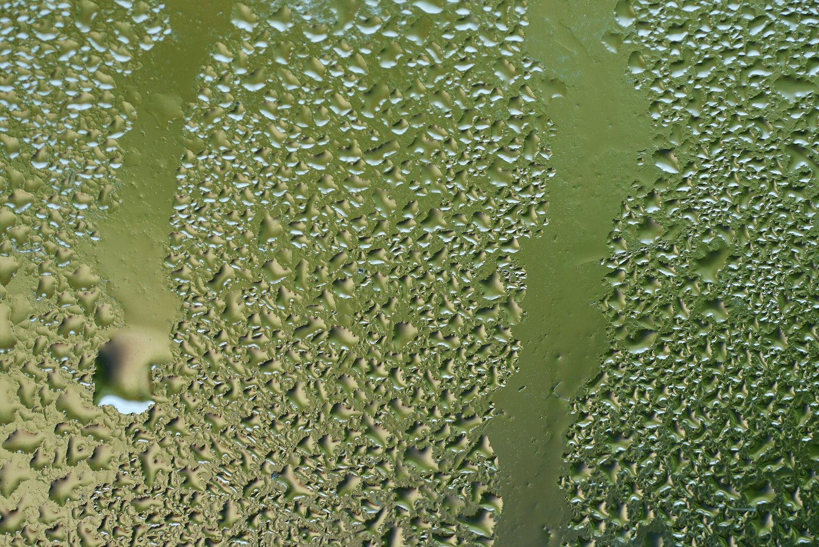 The Science Behind Residue-Free Steam Cleaning 9 moisture, water, wet, window