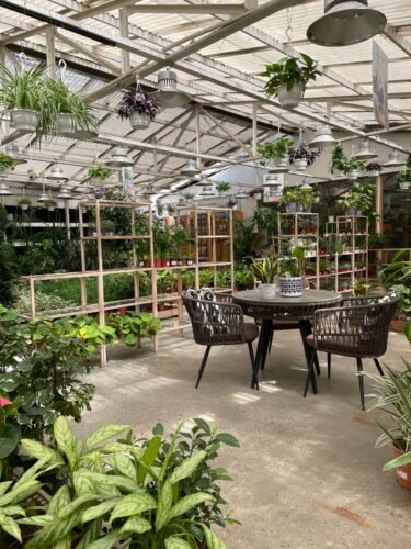 Garden centre, outdoor seating, plants