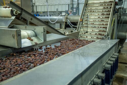 food, factory, Conveyor Belt, farm