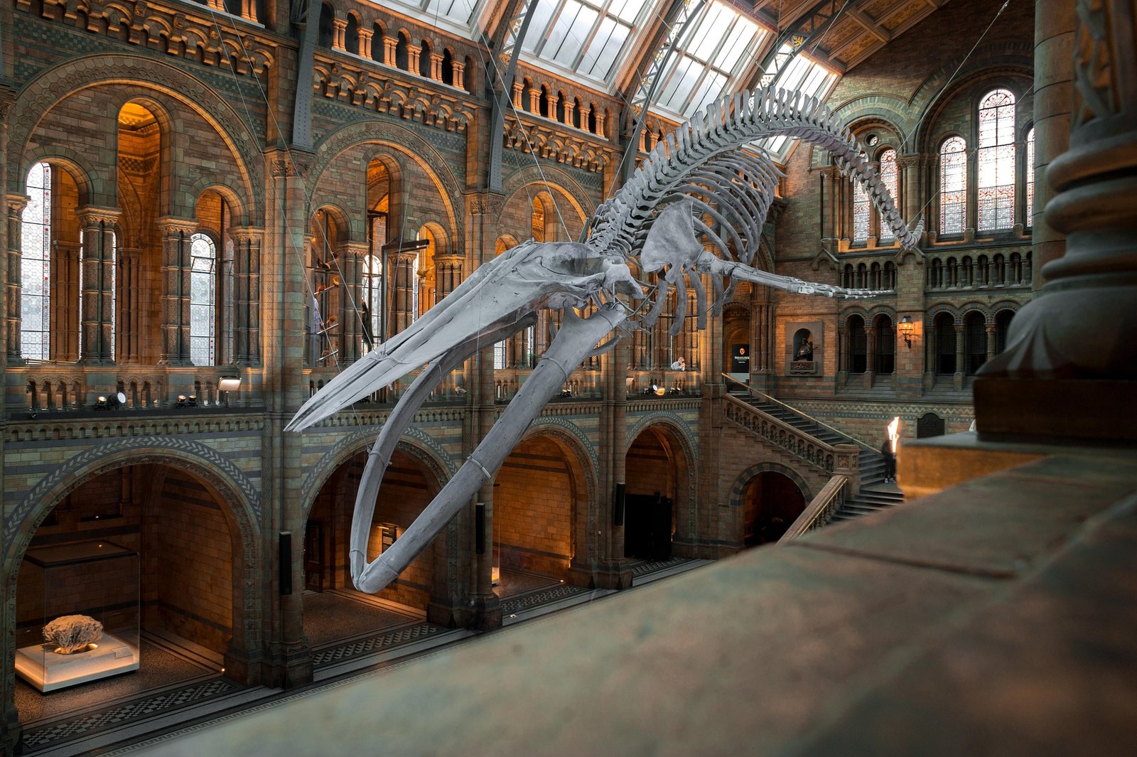 Steam vs. Cold Water Jet Washing 20 museum
