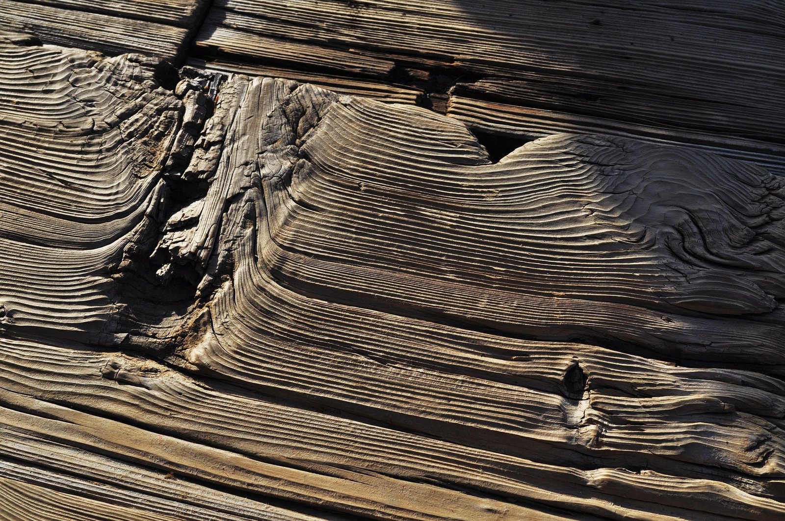 How Steam Cleaning Boosts Pest Prevention Efforts 4 wooden floor, crack, holes