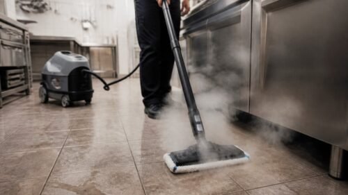 are pure steam cleaners a better karcher alternative 1793240939